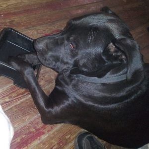 Meet your Posher, Larry